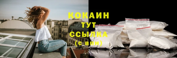 амф Осинники
