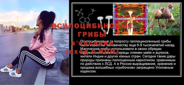 амф Осинники