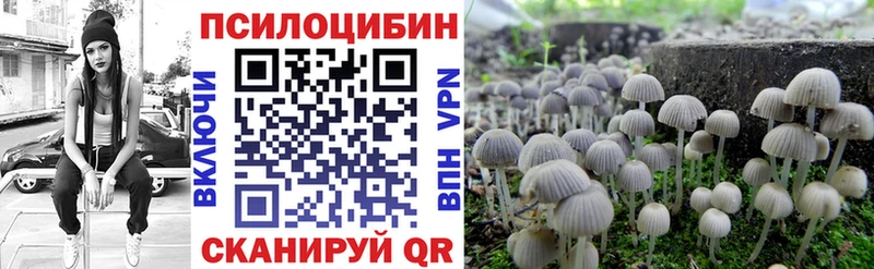 даркнет сайт  Неман  Галлюциногенные грибы Cubensis 